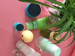 ������������ѵѧУ_��ʽ��������ѵ��/