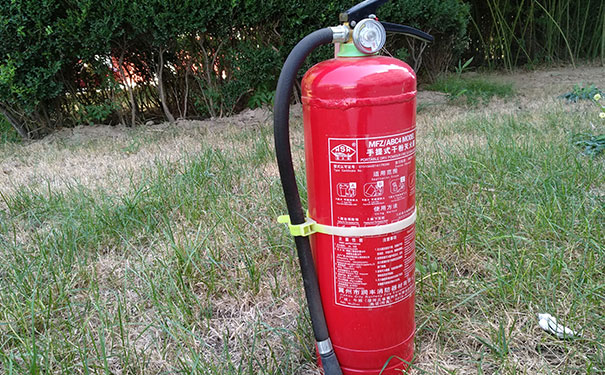 ��̨����ʦ��ѵѧУ