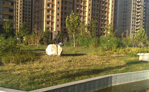 ����һ������ʦ��ѵ���ĸ���_�۸����Ǯ_��ַ�绰΢��