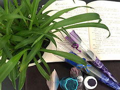 ���ݰ����û�ױ��ѵ_��ʽ��������ѵ��/