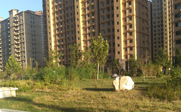 ����һ������ʦ��ѵ���ĸ���_�۸����Ǯ_��ַ