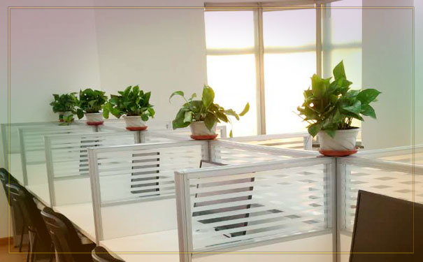 ɽ���������ʦ��������-����ʱ��-����ʱ��