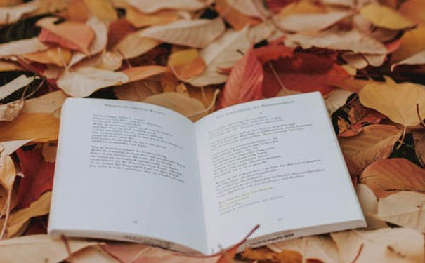 �����廪��Ӣ����ѵ��������Щ