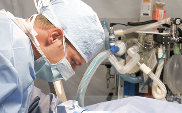 ���ݽ�������ʦ��ѵѧУ