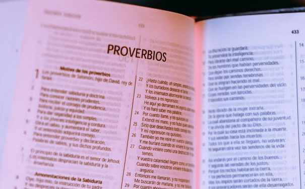 ��ɽ����Ӣ����ѵ���ĸ��� - ����Ǯ