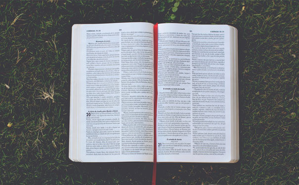 ��������������Ӣ����ѵ���ĸ��� - ����Ǯ