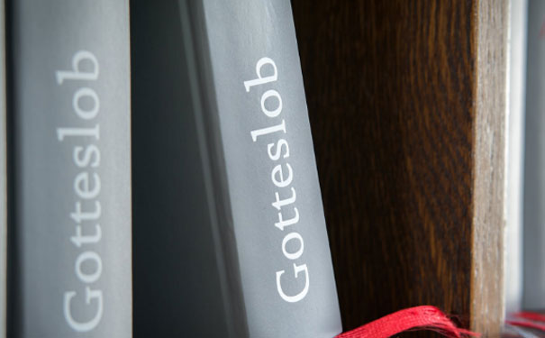 �ɶ����������Ӣ����ѵ���ĸ��� - ����Ǯ