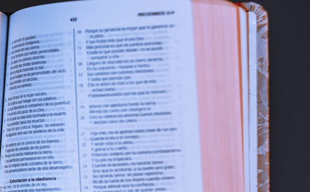 ��������������Ӣ����ѵ���ĸ��� - ����Ǯ