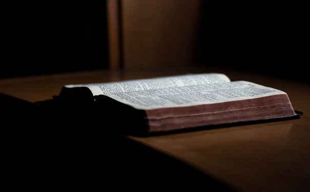 ��ɳ����������Ӣ����ѵ��������ࡿ_Ӣ����ѵ���������������