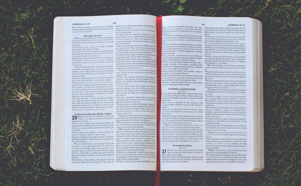 ����ɳƺ��������Ӣ����ѵ��������ࡿ_Ӣ����ѵ���������������