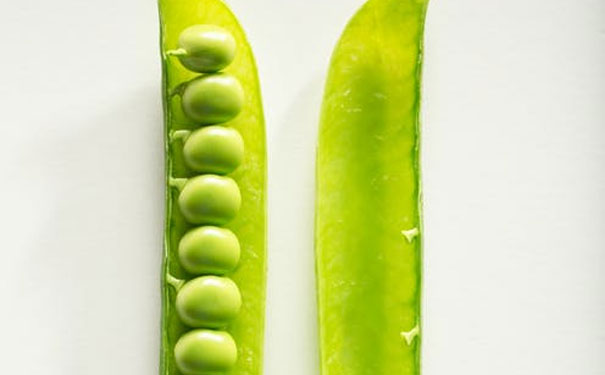 包头健康管理师网校哪个好_排名