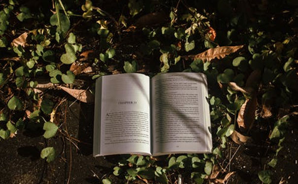 ��ɽ����Ӣ��������Ͽγ��ĸ���_��ɽӢ����ѵ����