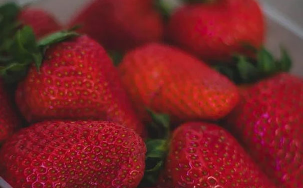 龙岩健康管理师网校哪个好_排名