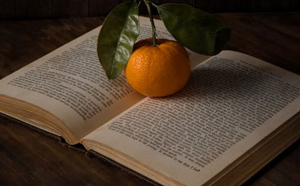 �人����Ӣ��������Ͽγ��ĸ���_�人Ӣ����ѵ����