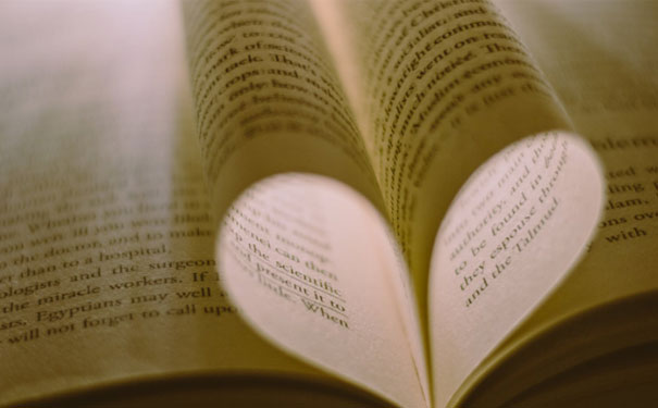 ��������Ӣ�������