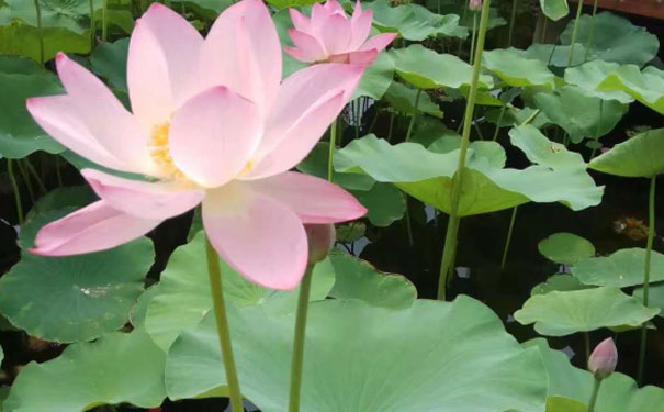 ��ɽ������Դ����ʦ��ѵ�ļҺ�