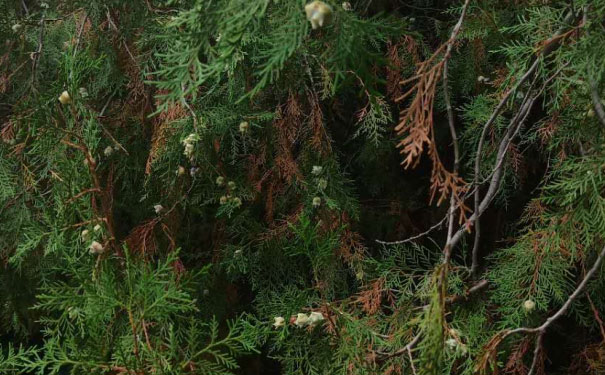 �ĳ�������Դ����ʦ��ѵ��