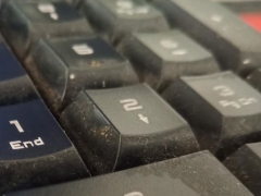 �ƸԻ��ѧУ_��ַ_�绰/