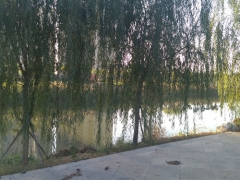 �������������ѧУ_��ַ_�绰/