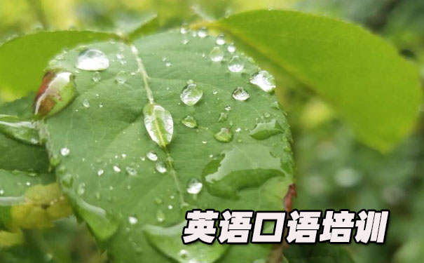 �����Ӣ��������- ����Ӣ��     