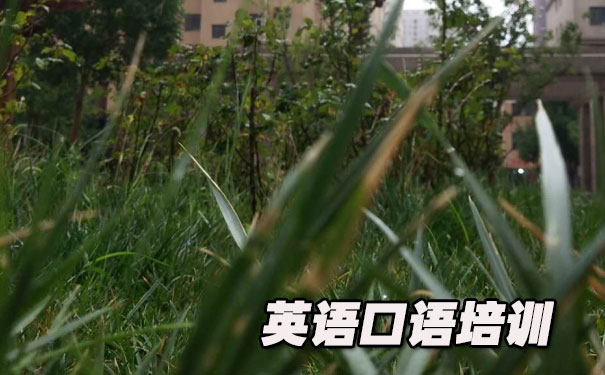 �������Ӣ������Ӣ������- ����Ӣ��