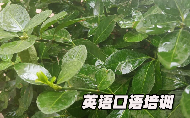 �������Ӣ�����һ��һ- ����Ӣ��