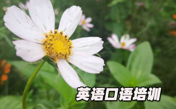 ѧϰӢ��������վ- ����Ӣ��