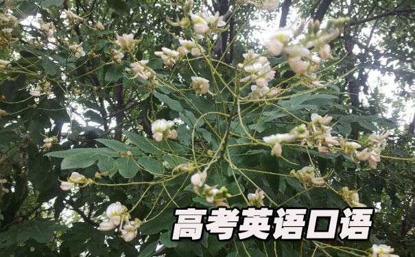 �߿�Ӣ����￼�Զ�������- ����Ӣ��