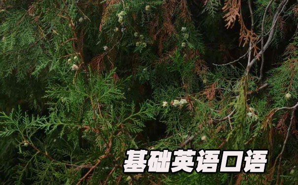 ����Ӣ�����- ����Ӣ��