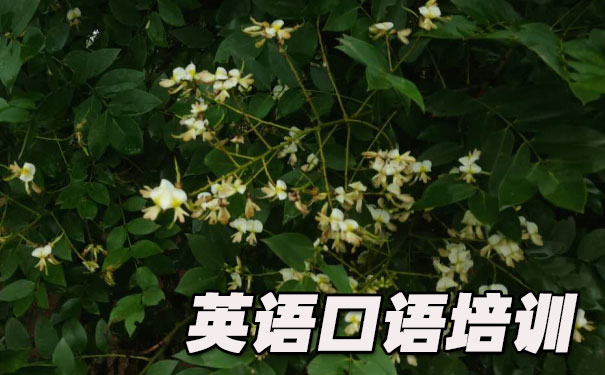 简单的英语口语短文- 美联英语