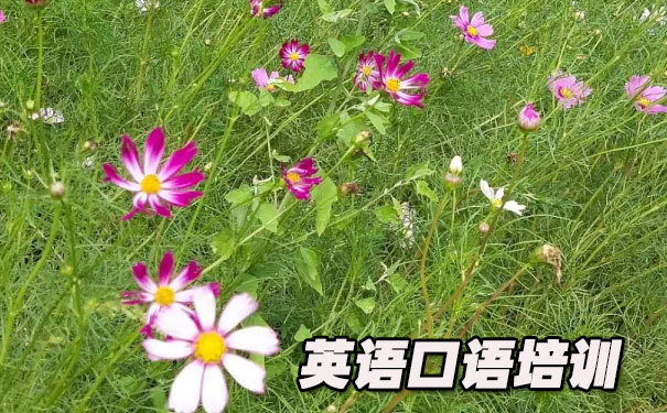 英语口语900句- 美联英语