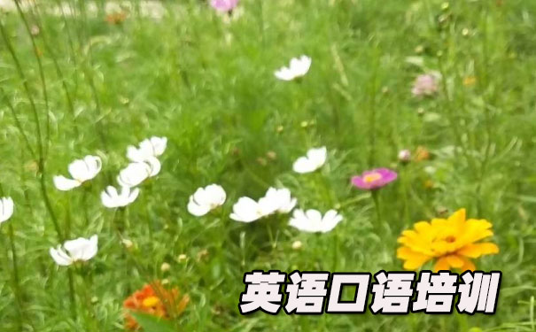 Ӣ�����ȼ�����- ����Ӣ��