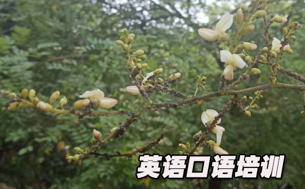 Ӣ��������1���ӡ�2���ӡ�3����- ����Ӣ��