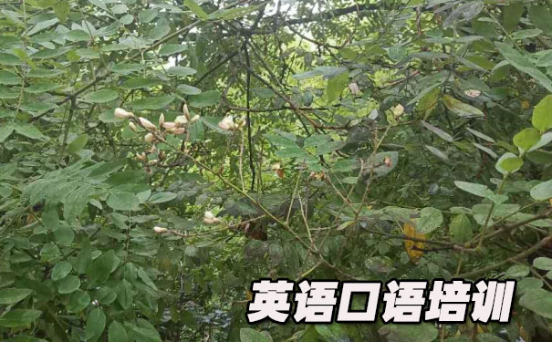 Ӣ�������Ĵ�����- ����Ӣ��