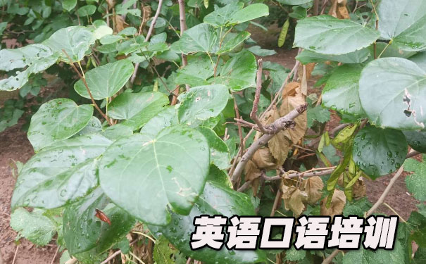 英语口语短文150词- 美联英语