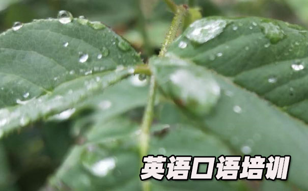 英语口语短文朗读视频- 美联英语