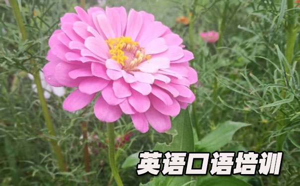 英语口语教学的5个方法- 美联英语