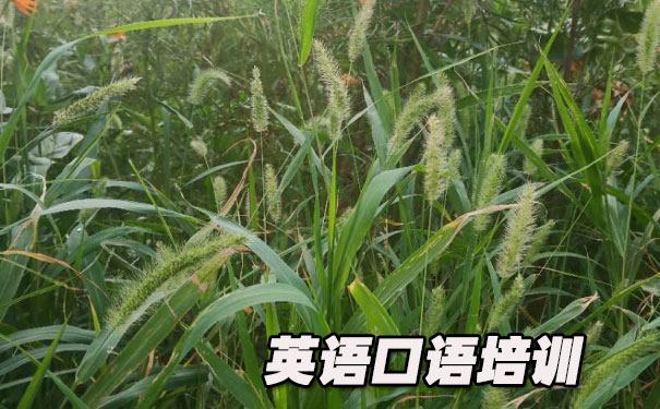 Ӣ�����ͼ��ͼƬ- ����Ӣ��