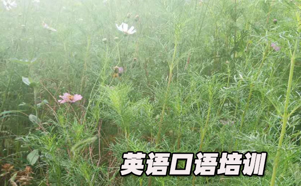 Ӣ��������- ����Ӣ��