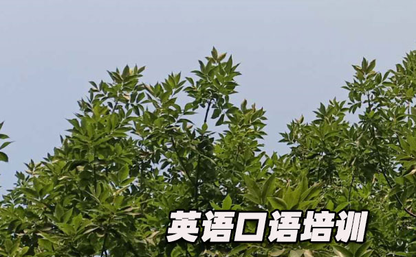 英语口语文章在线听- 美联英语