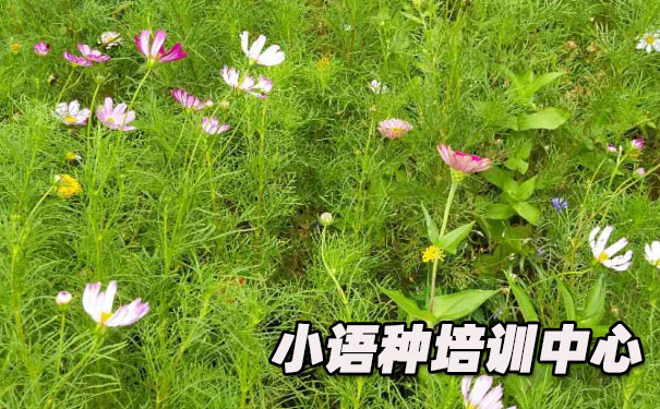 ����ŷ��С������ѵ����_�γ�ѧ�Ѻ������绰ԤԼ����