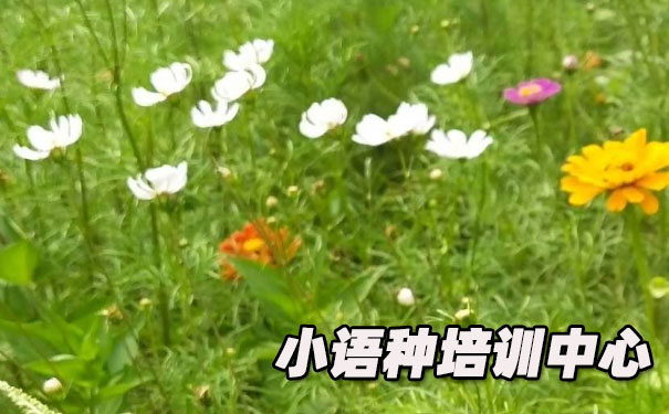 �Ϻ�ŷ��С������ѵ����_�γ�ѧ�Ѻ������绰ԤԼ����