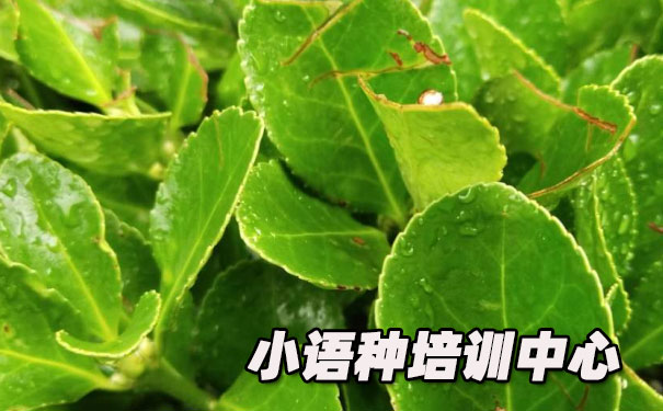 ����ŷ��С������ѵ����_�γ�ѧ�Ѻ������绰ԤԼ����