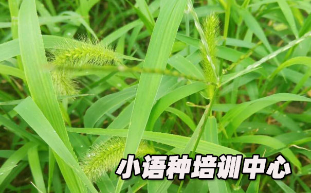 �Ͼ�ŷ��С������ѵ����_�γ�ѧ�Ѻ������绰ԤԼ����