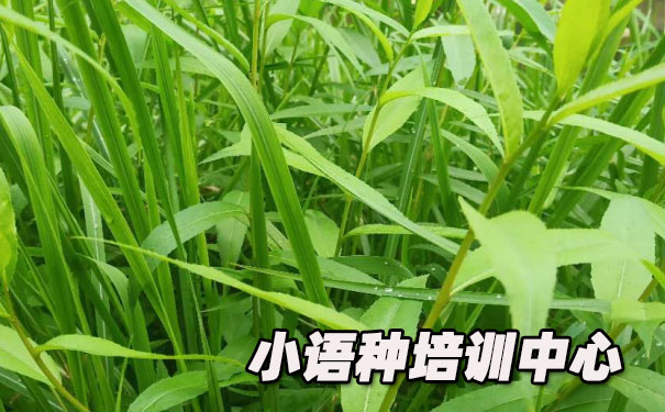 ����ŷ��С������ѵ����_�γ�ѧ�Ѻ������绰ԤԼ����