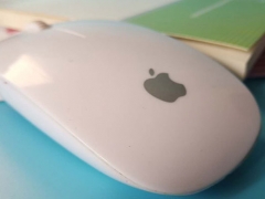 ����webǰ�˿�����ѵ�ļҺ�/