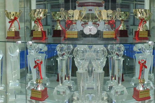 ����Ӱ����Ч����������ѵ�����Ƽ�-��������