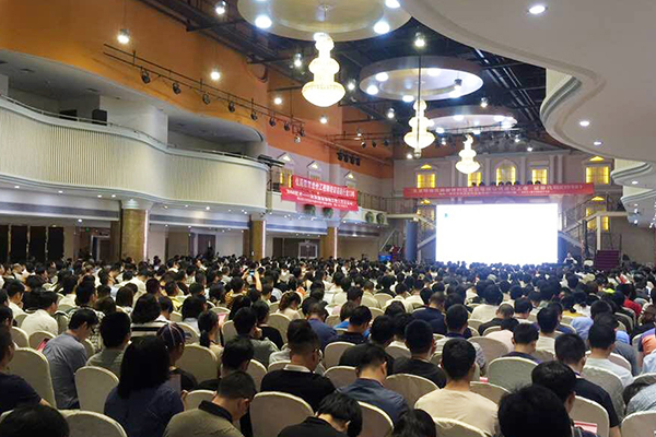 ̩��ִҵ��ҩʦ��ѵ���ĸ���_�������Ƶ��