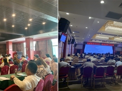 μ��ִҵ��ҩʦ��ѵ���ĸ���_�������Ƶ��/