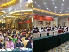 ����ִҵ��ҩʦ��ѵ���ĸ���_�������Ƶ��/